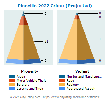 Pineville Crime 2022