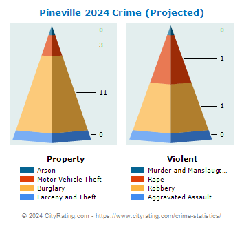 Pineville Crime 2024
