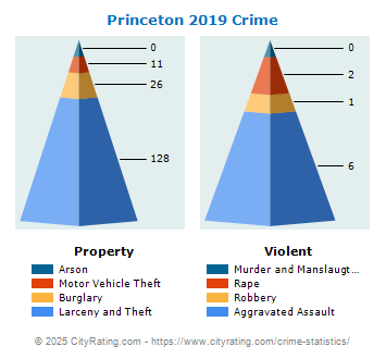 Princeton Crime 2019