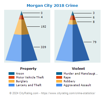 Morgan City Crime 2018