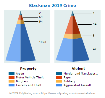 Blackman Township Crime 2019