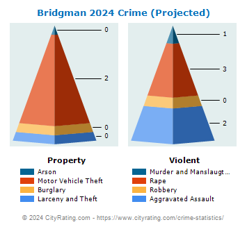 Bridgman Crime 2024