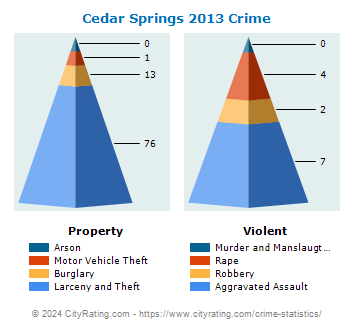Cedar Springs Crime 2013