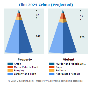 Flint Township Crime 2024
