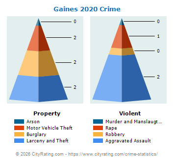 Gaines Township Crime 2020