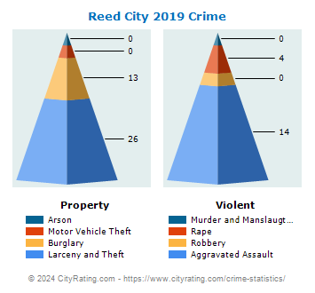 Reed City Crime 2019