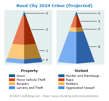 Reed City Crime 2024