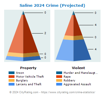 Saline Crime 2024