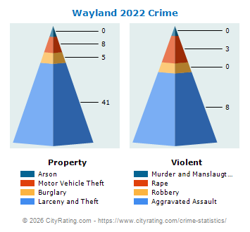 Wayland Crime 2022