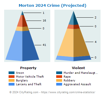 Morton Crime 2024