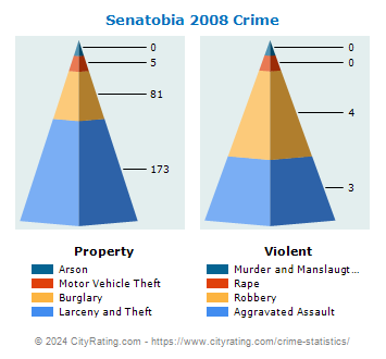 Senatobia Crime 2008