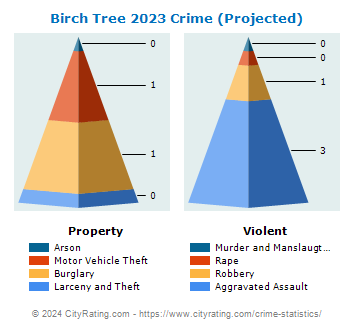 Birch Tree Crime 2023