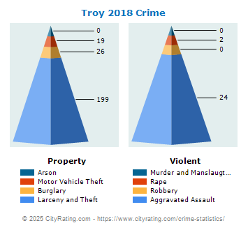 Troy Crime 2018