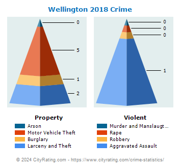 Wellington Crime 2018
