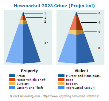 Newmarket Crime 2023