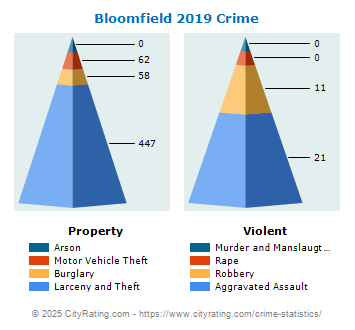 Bloomfield Crime 2019