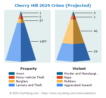 Cherry Hill Township Crime 2024