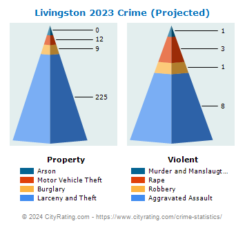 Livingston Township Crime 2023