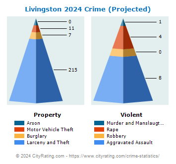 Livingston Township Crime 2024