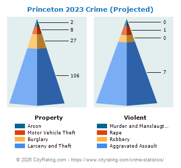 Princeton Crime 2023