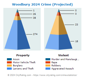 Woodbury Crime 2024