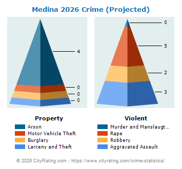 Medina Village Crime 2026
