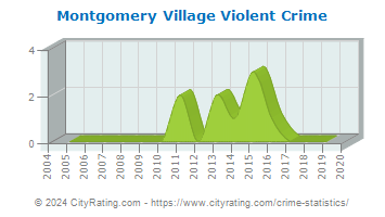 Montgomery Village Violent Crime
