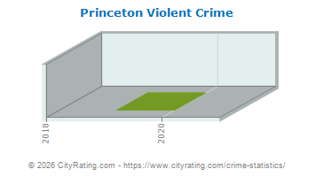 Princeton Violent Crime