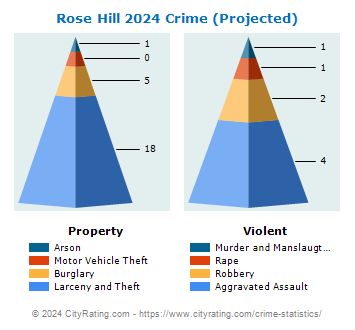 Rose Hill Crime 2024