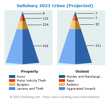 Salisbury Crime 2023