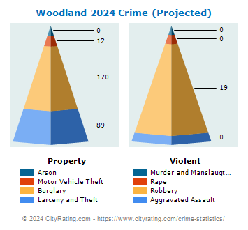 Woodland Crime 2024