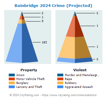 Bainbridge Township Crime 2024
