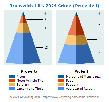 Brunswick Hills Township Crime 2024