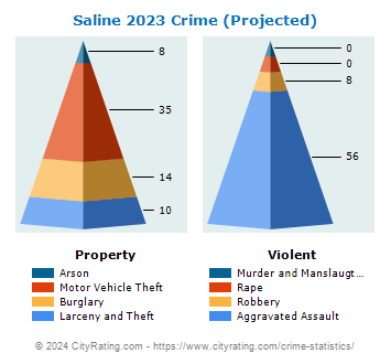 Saline Township Crime 2023