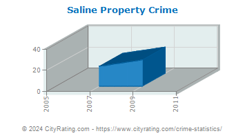 Saline Township Property Crime