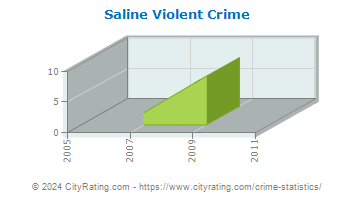 Saline Township Violent Crime