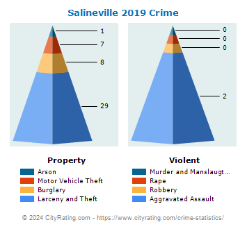 Salineville Crime 2019