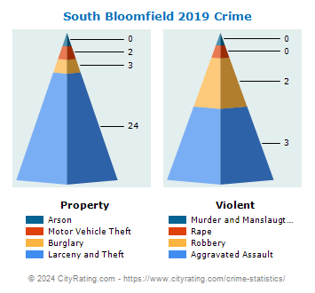 South Bloomfield Crime 2019