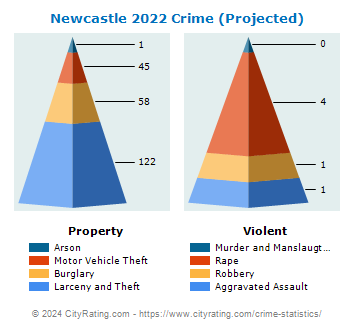 Newcastle Crime 2022