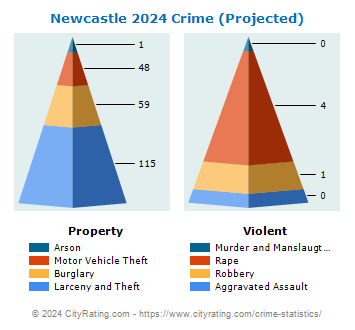 Newcastle Crime 2024