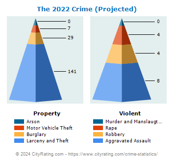 The Village Crime 2022