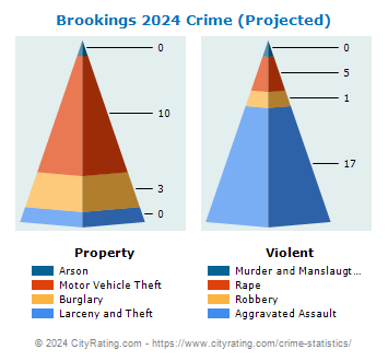 Brookings Crime 2024