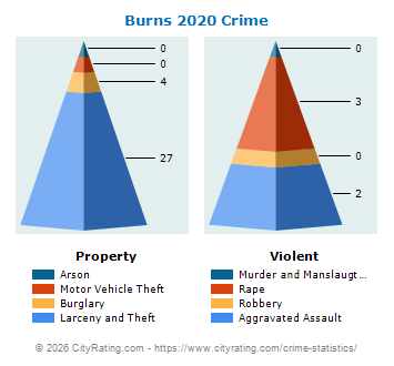 Burns Crime 2020