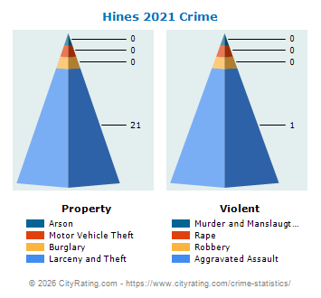 Hines Crime 2021