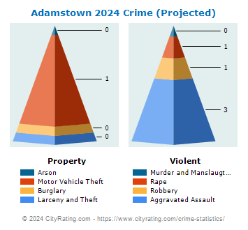 Adamstown Crime 2024