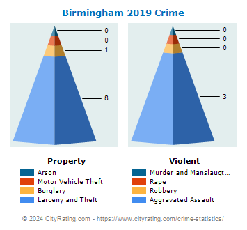 Birmingham Township Crime 2019
