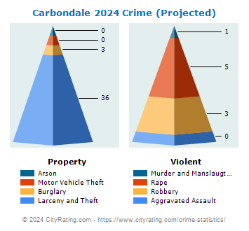 Carbondale Crime 2024