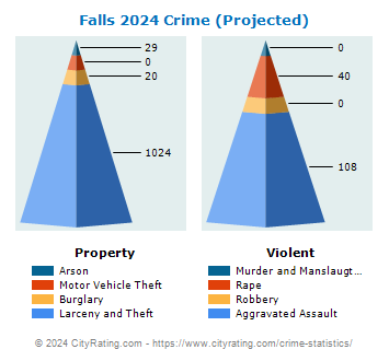 Falls Township Crime 2024