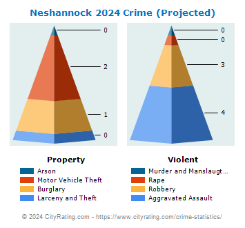 Neshannock Township Crime 2024