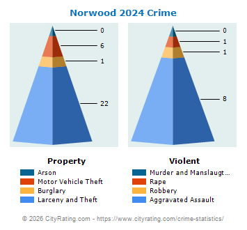 Norwood Crime 2024